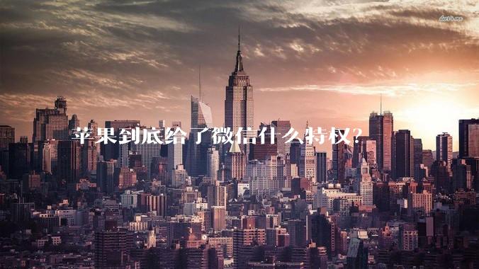 苹果到底给了微信什么特权？