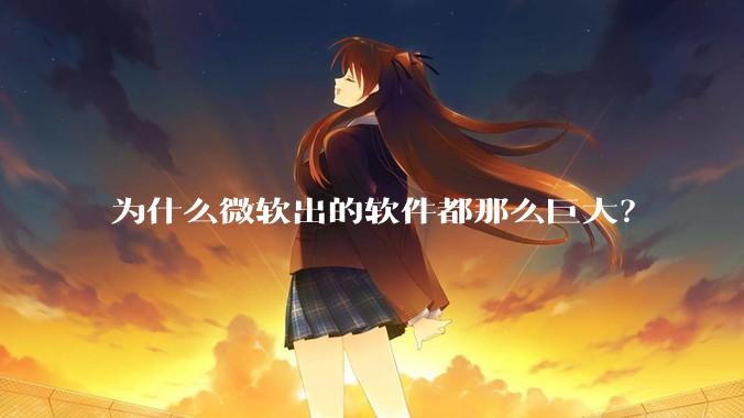 为什么微软出的软件都那么巨大？