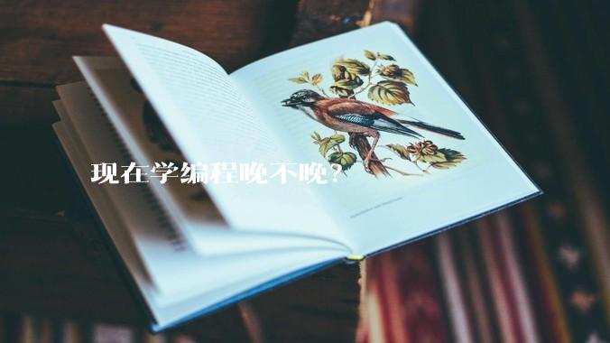 现在学编程晚不晚？