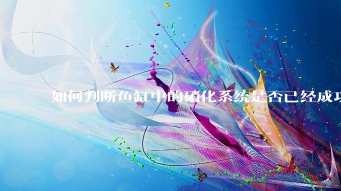 如何判断鱼缸中的硝化系统是否已经成功建立？