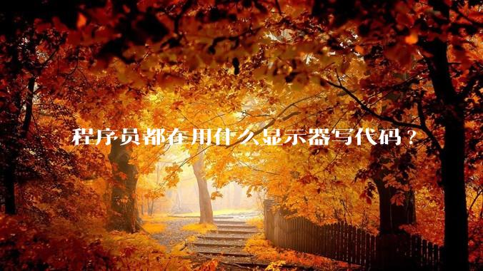 程序员都在用什么显示器写代码?
