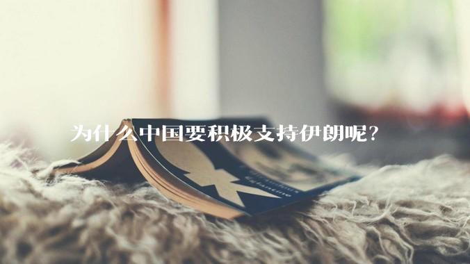 为什么中国要积极支持伊朗呢？